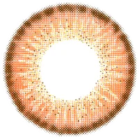 レネルオレンジ_レンズ