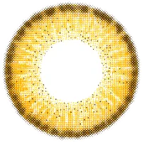 レネルイエロー_レンズ