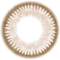 ロシェブラウン_レンズ