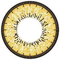 ティアリーブラウン_レンズ