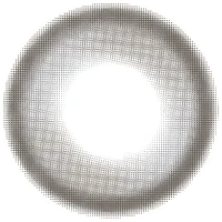 ツイントグレー_レンズ