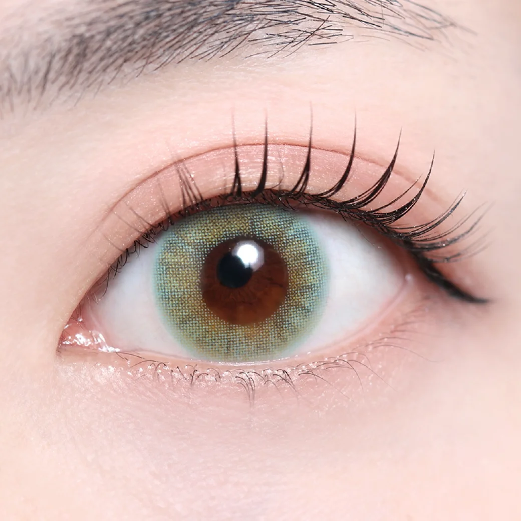 アビスグレー（1DAY・低含水）の着画