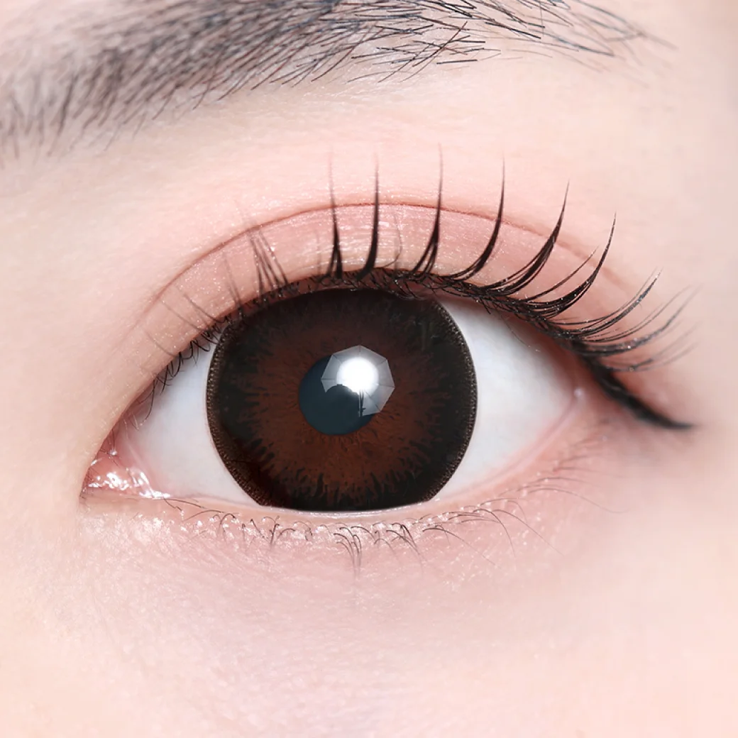 ベアブラックの着画