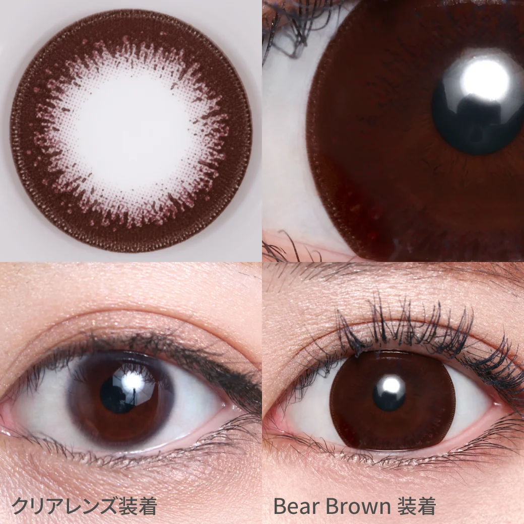 ベアブラウンの着画