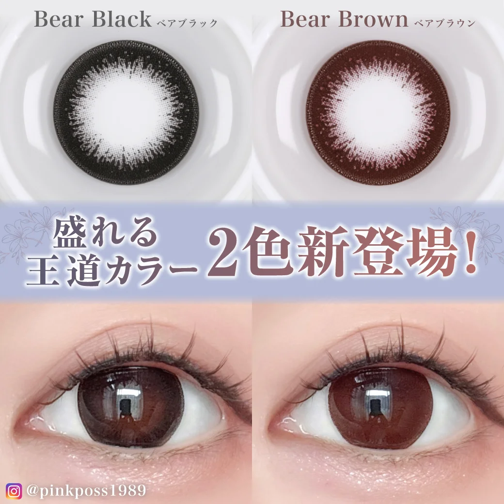 TeAmo1DAY ベア新色1