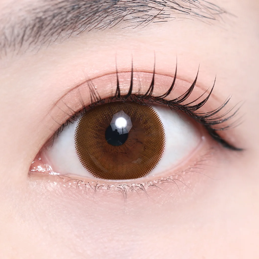 ブラウン（低含水）の着画