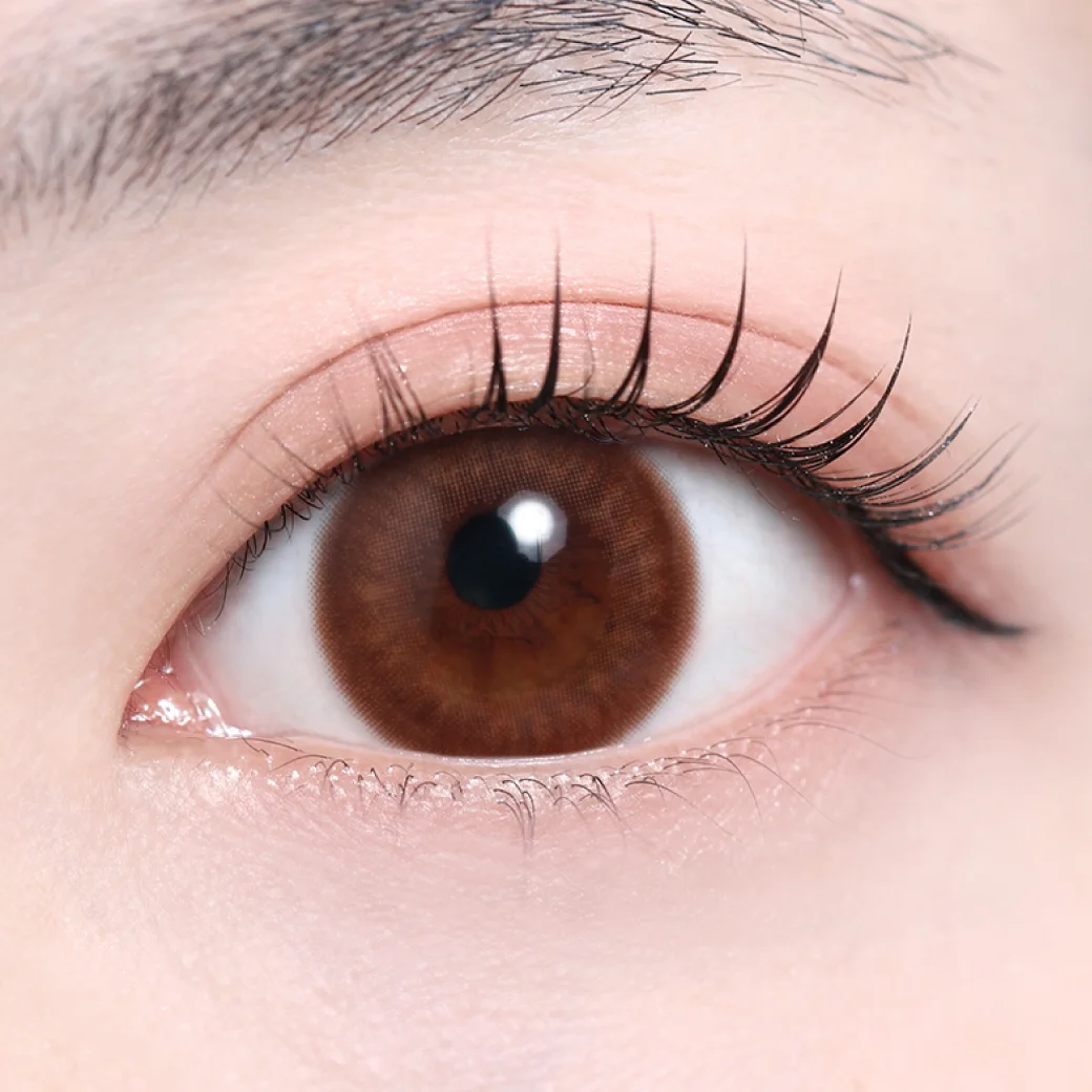 キャネルアンバー（低含水）の着画