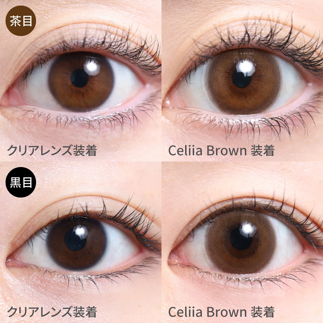 セリーアブラウン 黒目茶目着用画像 わざとらしくない透明感ブラウン｜カラコン ワンデー