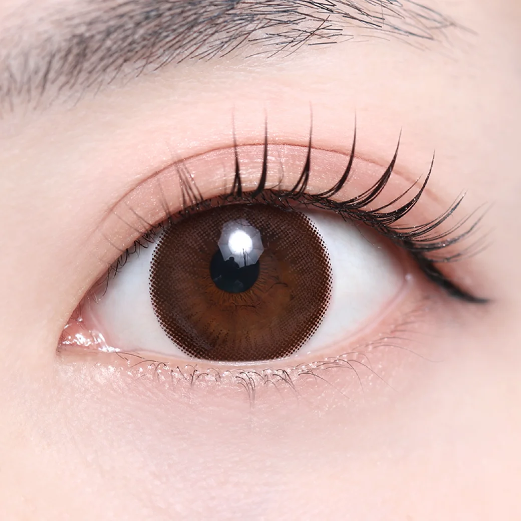 ココア（低含水）の着画