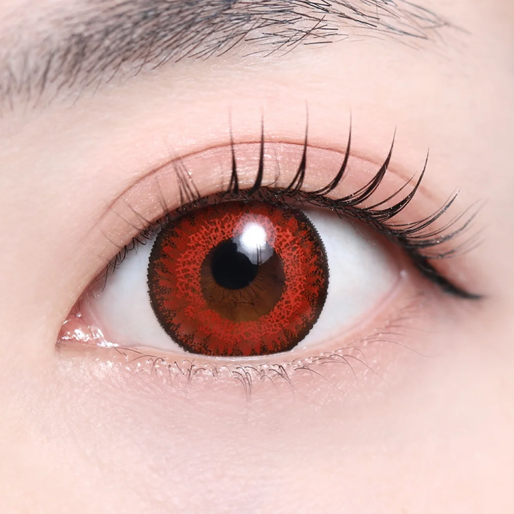 フランメレッドの着画