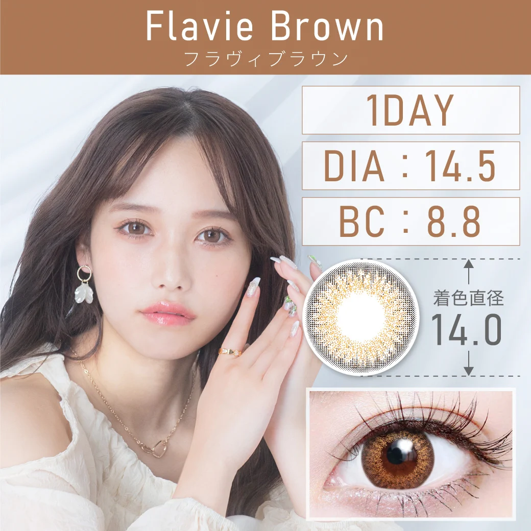 フラヴィブラウン（低含水）のサムネイル画像