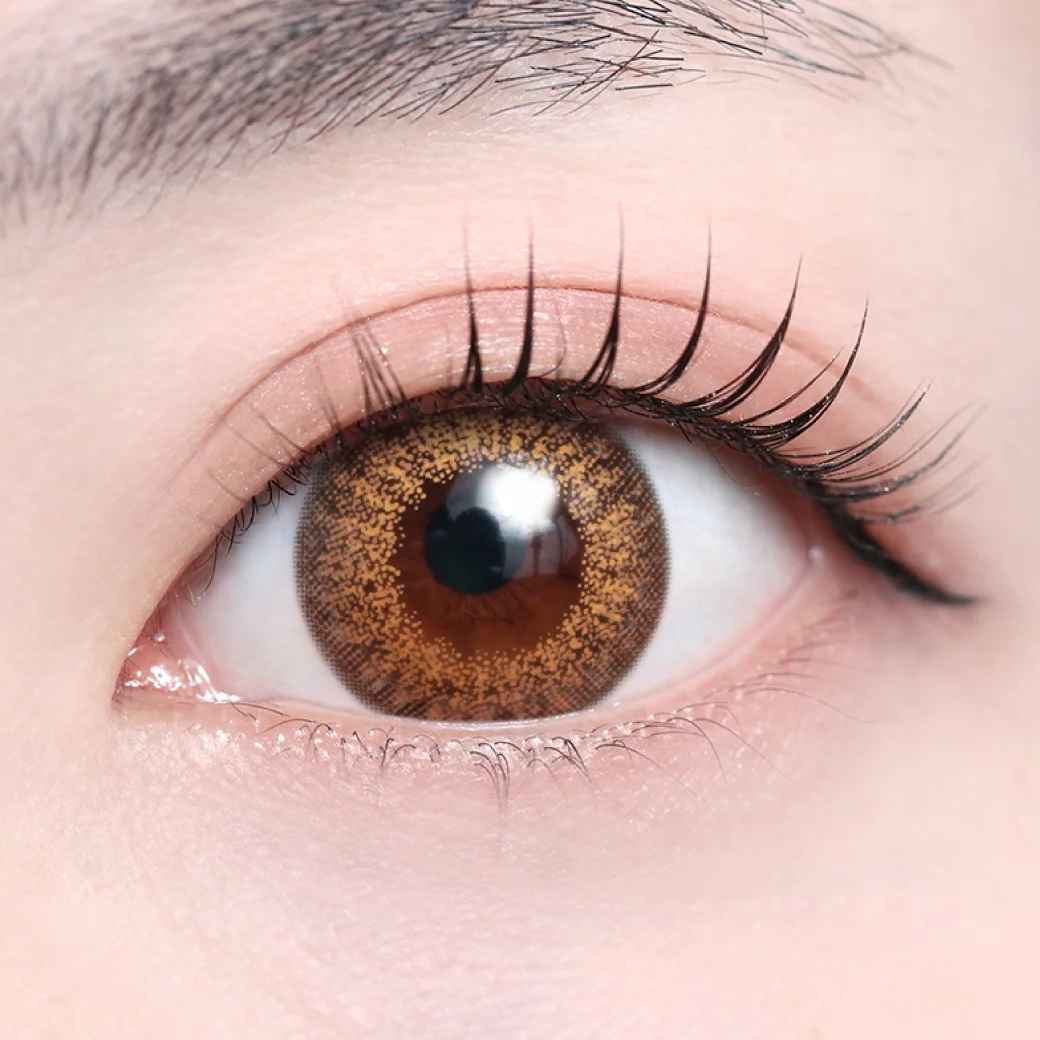 フラヴィブラウン（低含水）の着画