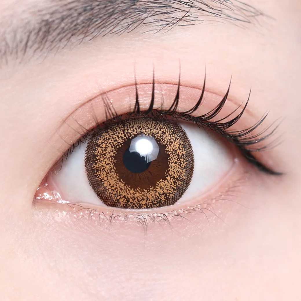 フラヴィブラウンの着画