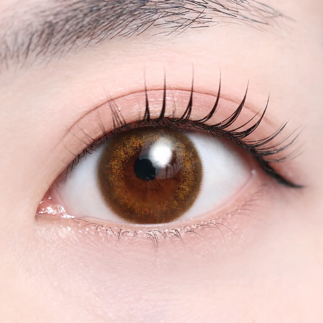 フォギーオリーブの着画