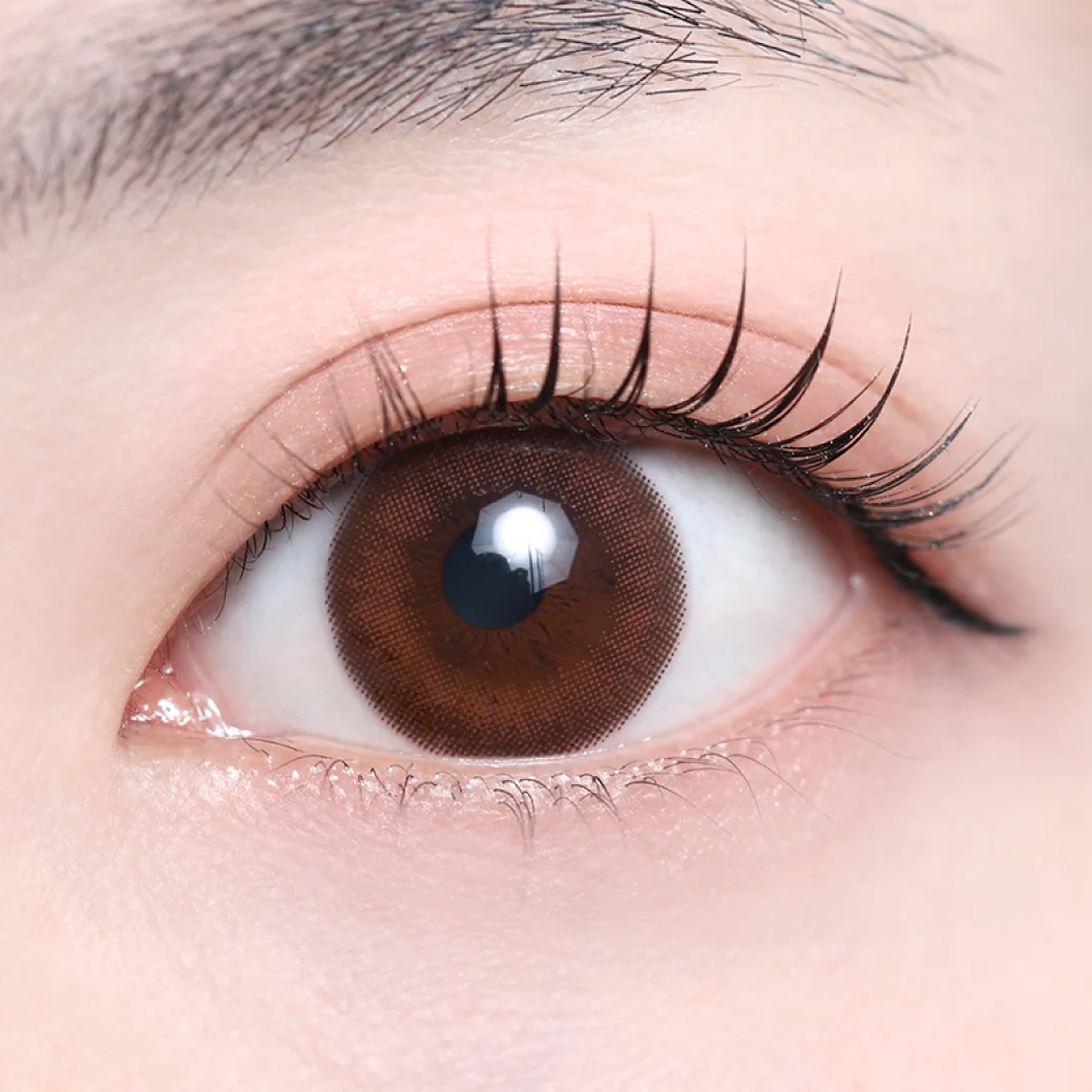 フォンダショコラの着画