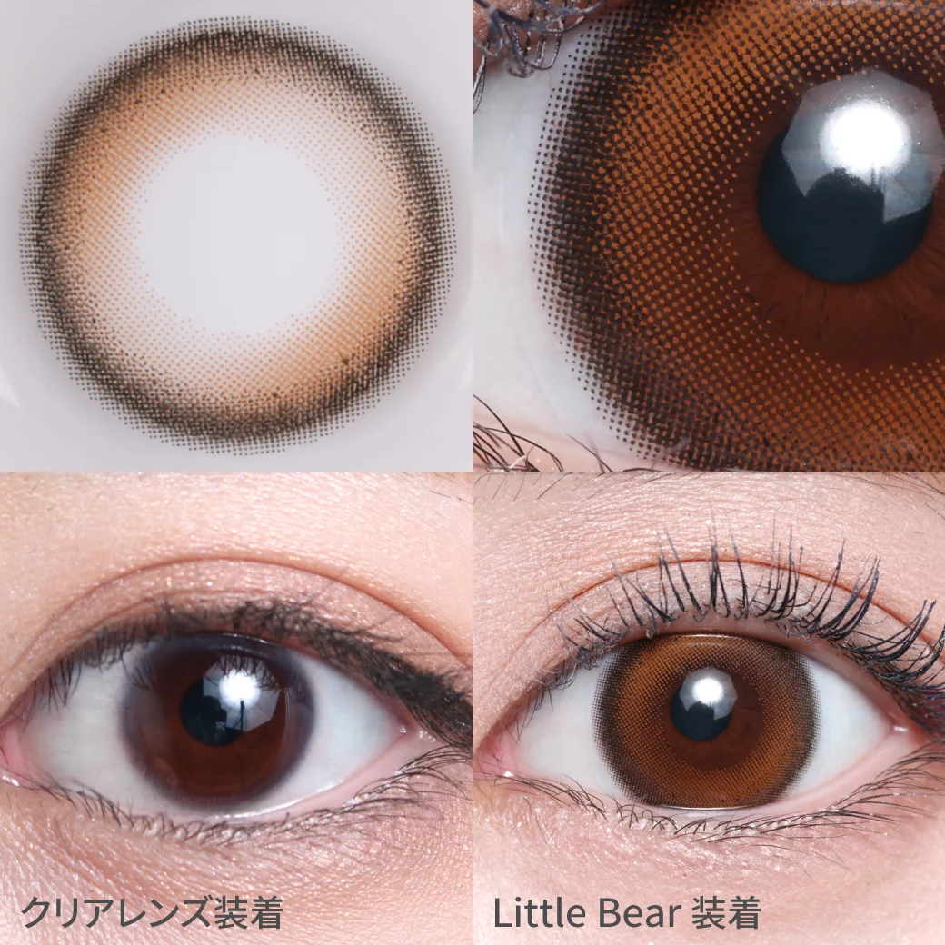 リトルベアの着画