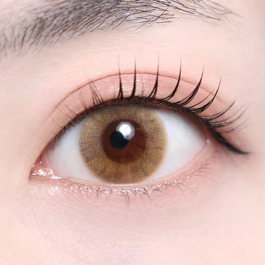 モスブラウン（1DAY・低含水）の着画