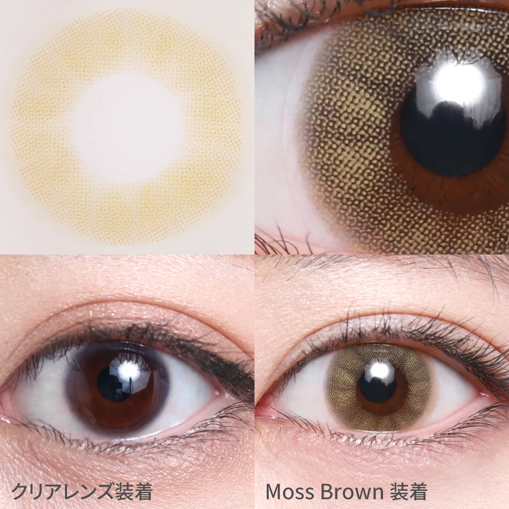 GRUNGE1month Moss Brown 着画