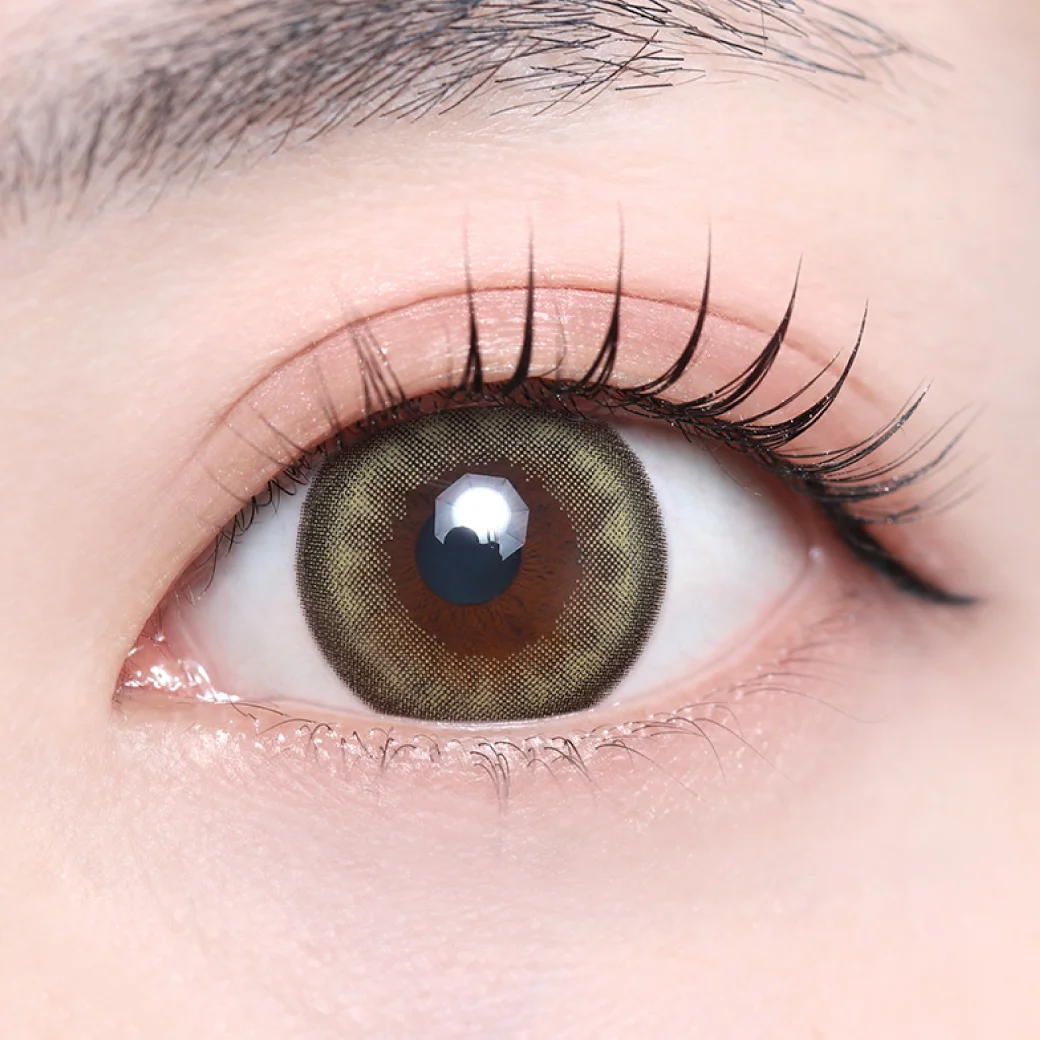 オークオリーブの着画