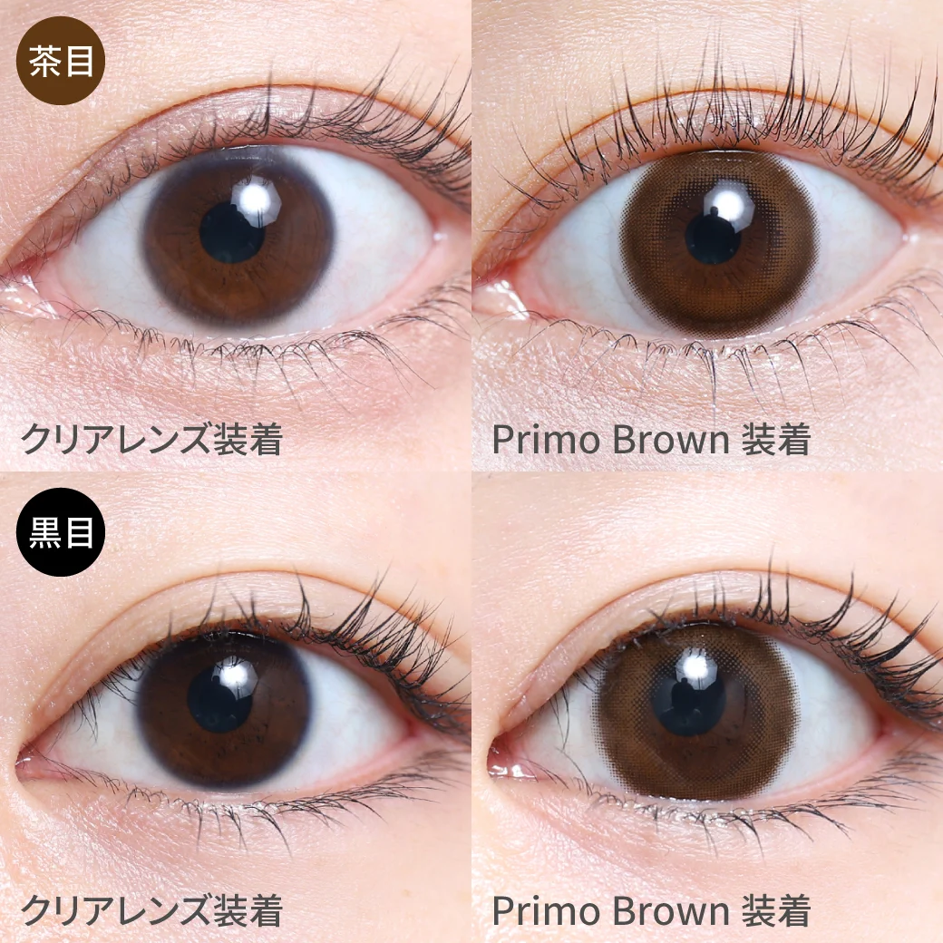 プリモブラウン茶目黒目着用画像 ふわっと発色で裸眼風大人キレイEYE｜カラコン ワンデー