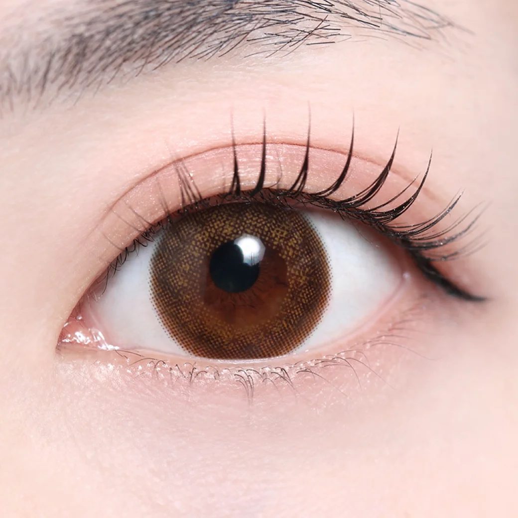 リコオリーブ（低含水）の着画