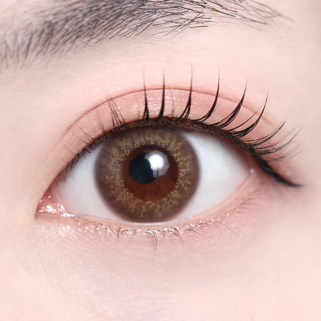 アリスアンバーの着画