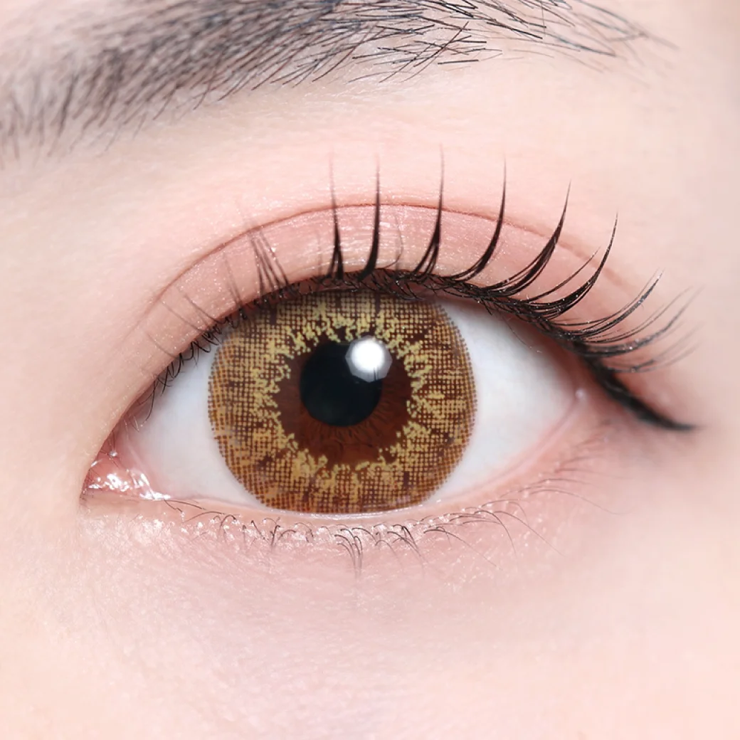 ディ.アモールブラウンの着画