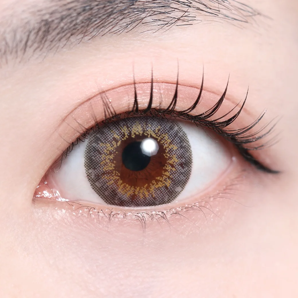 ディ.アモールグレーの着画