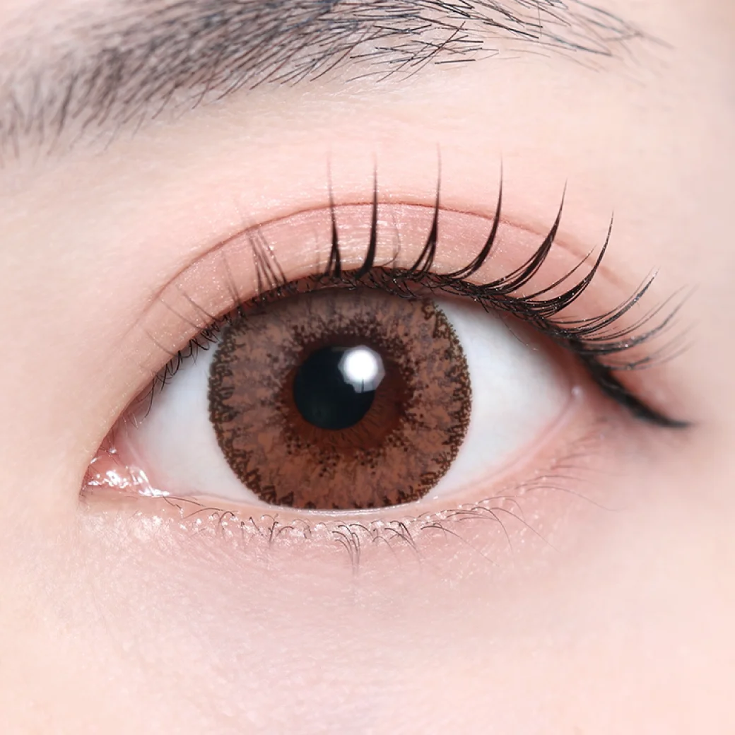 クラッシーブラウンの着画