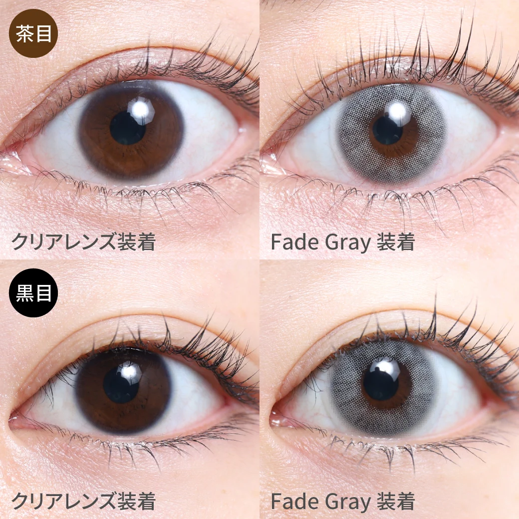 フェードグレー茶目黒目着用画像 クールでシックな美発色。ハイトーングレーで自然な色素薄い系の瞳に