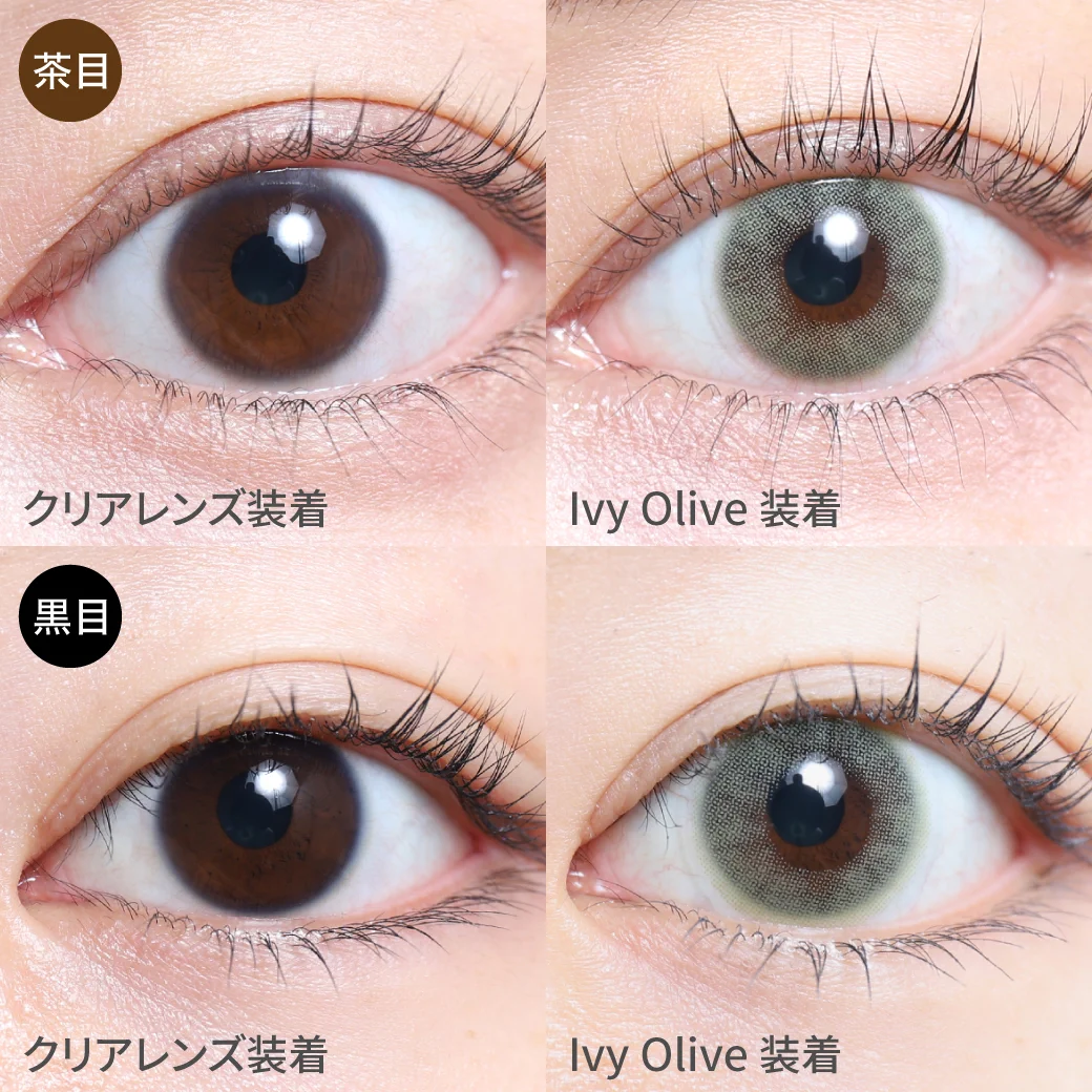 アイビーオリーブ茶目黒目着用画像 神秘的な深みのある、オリーブカラーで、自然な色素薄い系の瞳に