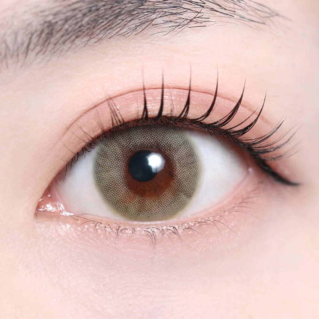 アイビーオリーブの着画