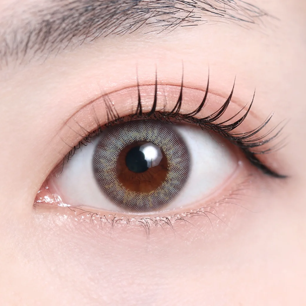 ラナグレーの着画