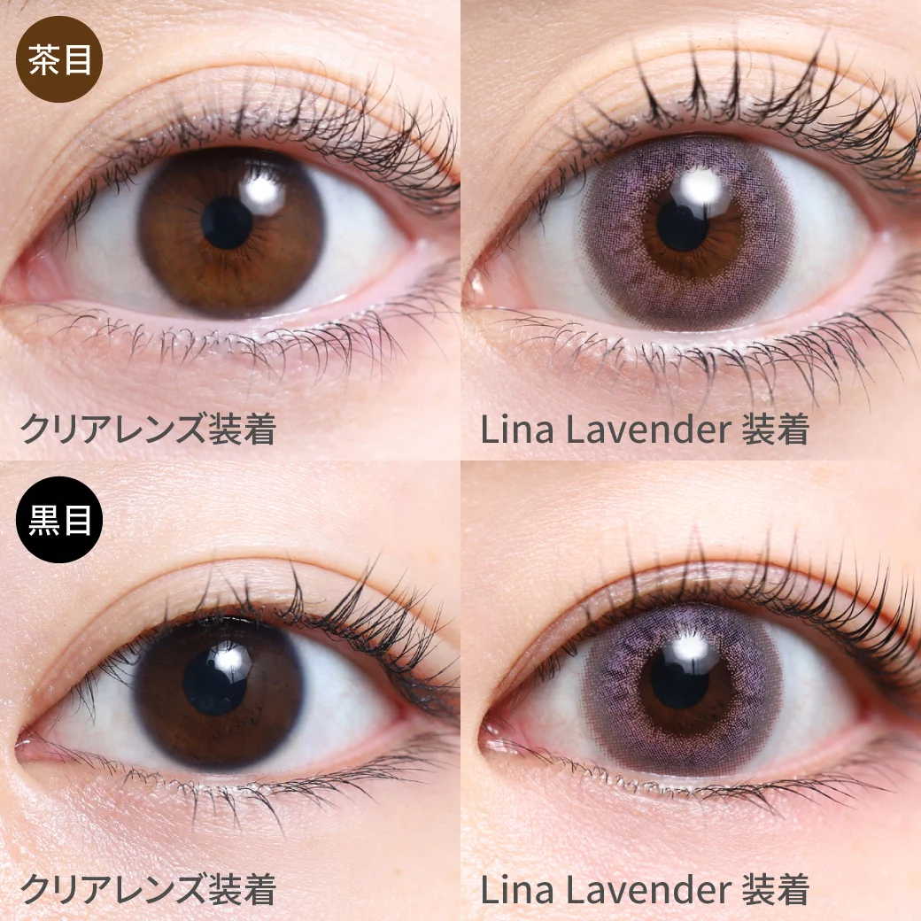 リナラベンダー 黒目茶目着用画像 ほんのり甘め♡