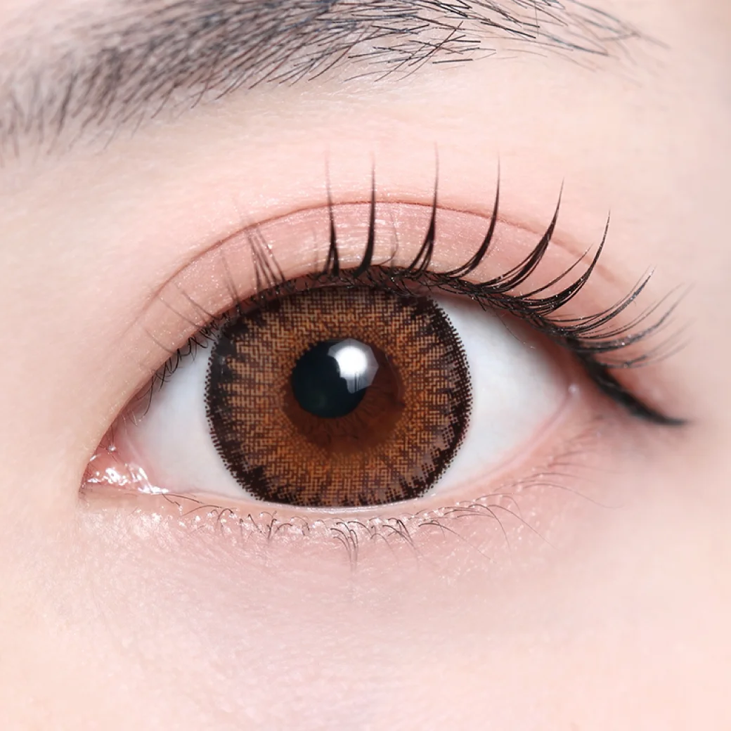 マーリーブラウンの着画