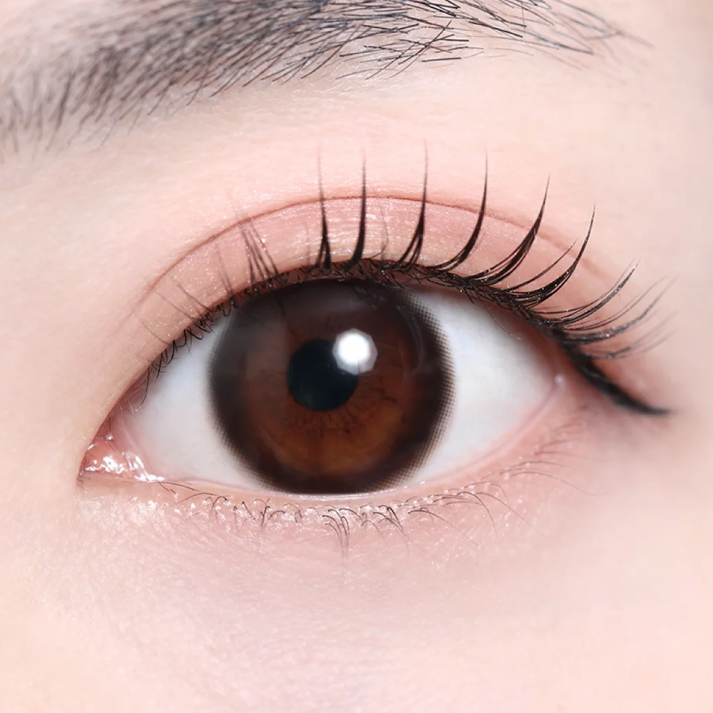 ピュールブラックの着画