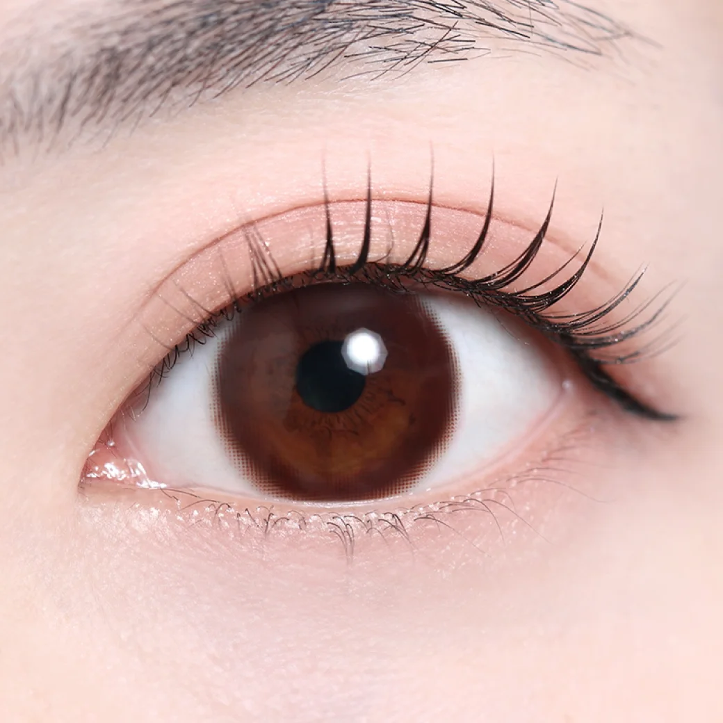 ピュールブラウンの着画