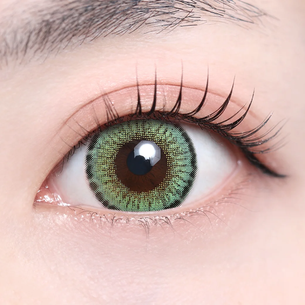 レネルライトグリーンの着画