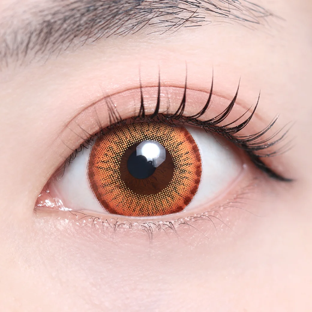 レネルオレンジの着画