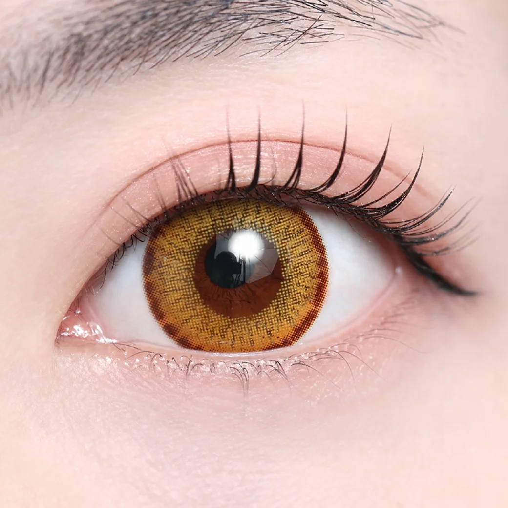 レネルイエローの着画