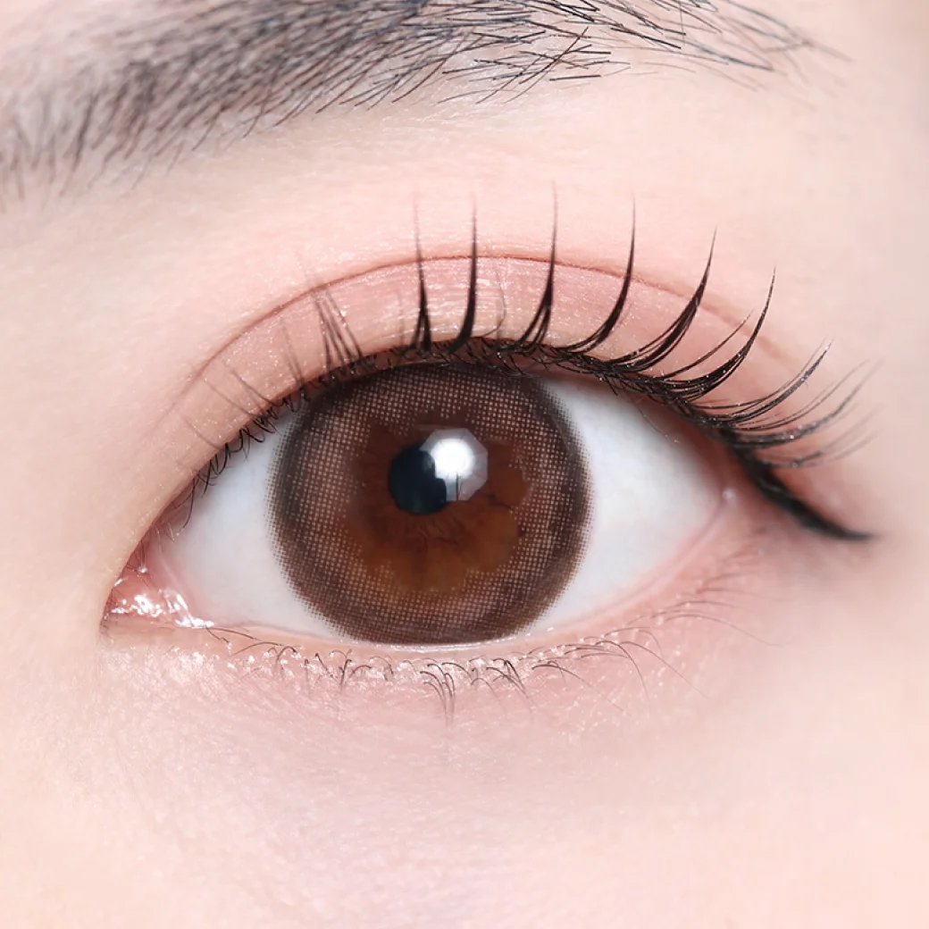 ロスベージュの着画