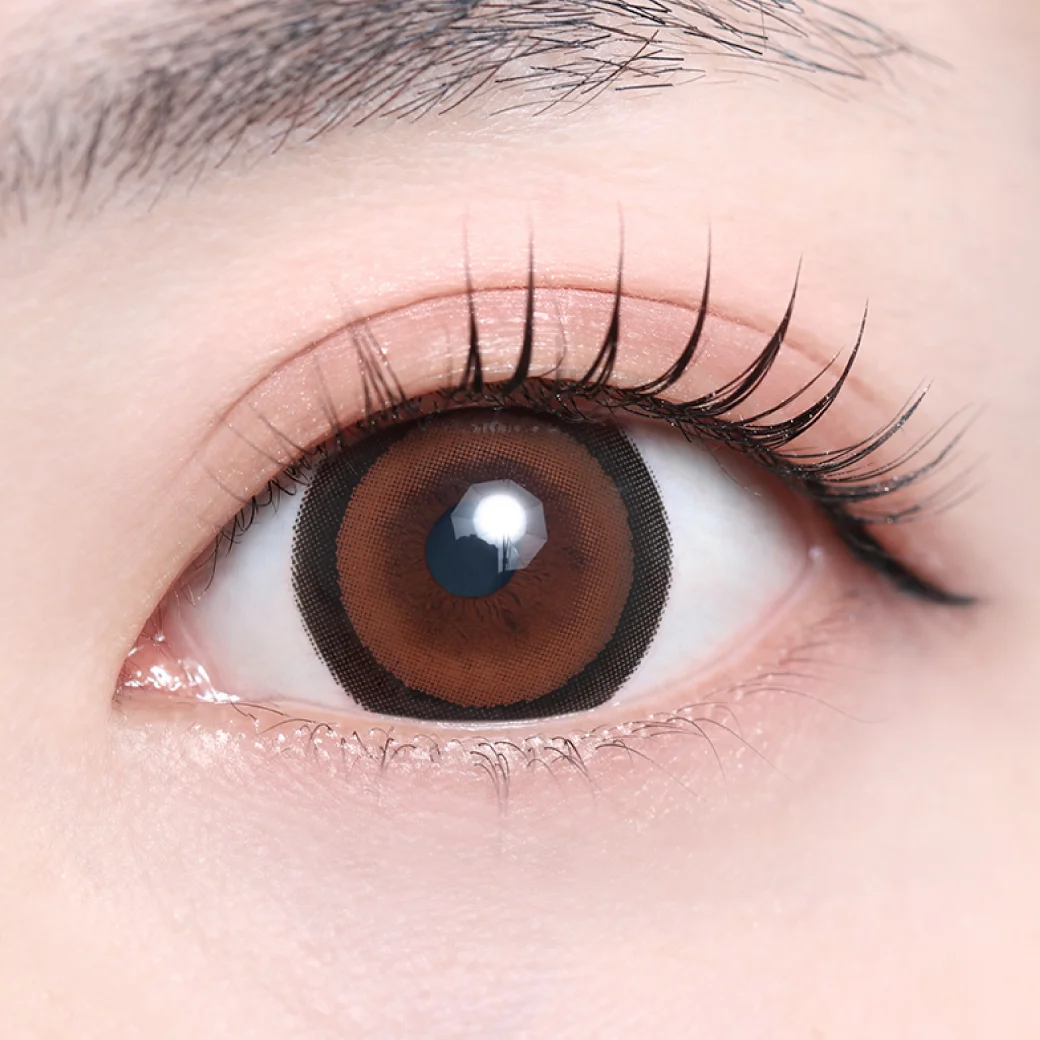 シェルミーブラウンの着画