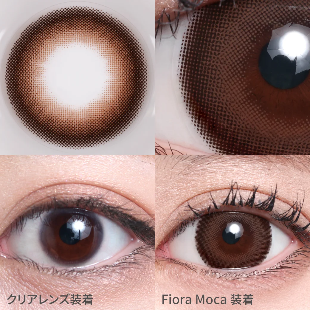 フィオラモカの着画