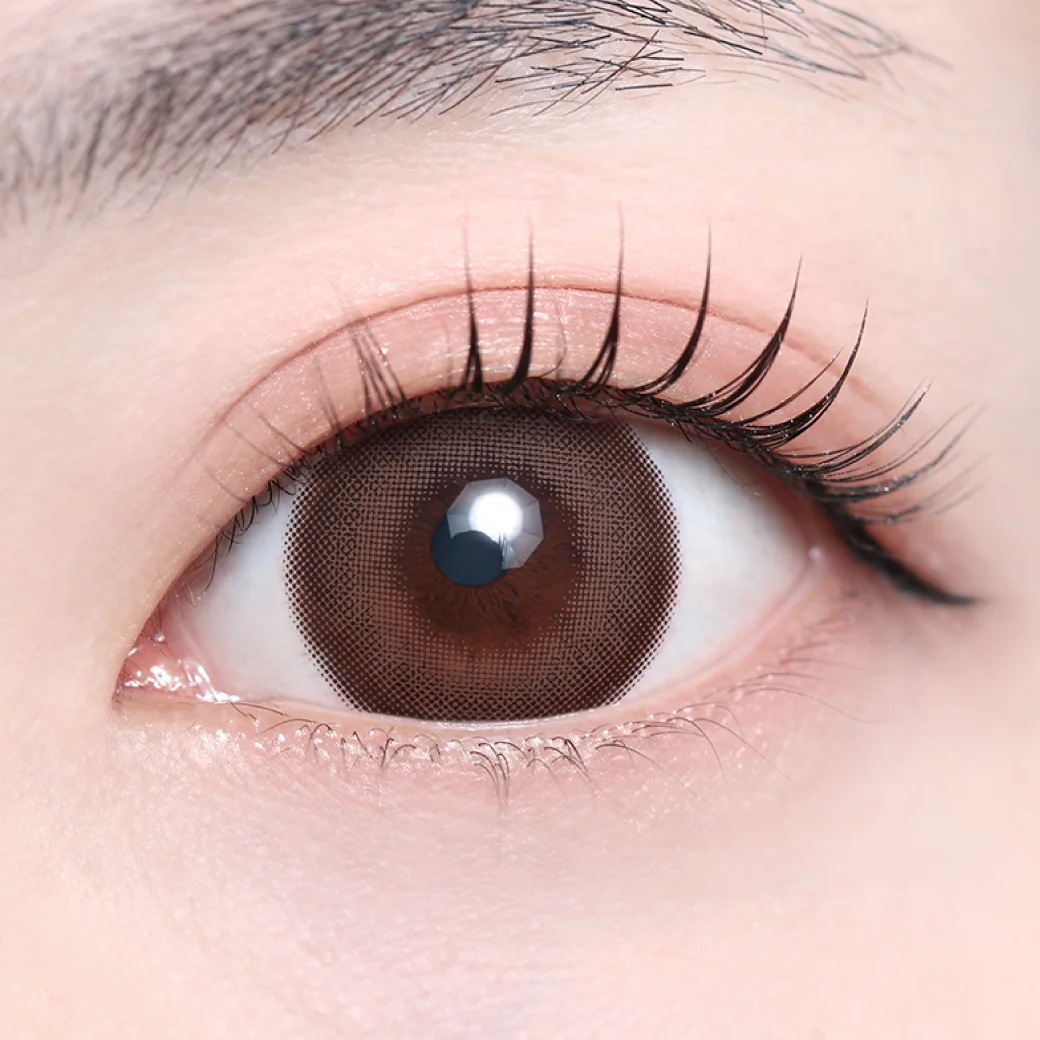 フィオラモカの着画