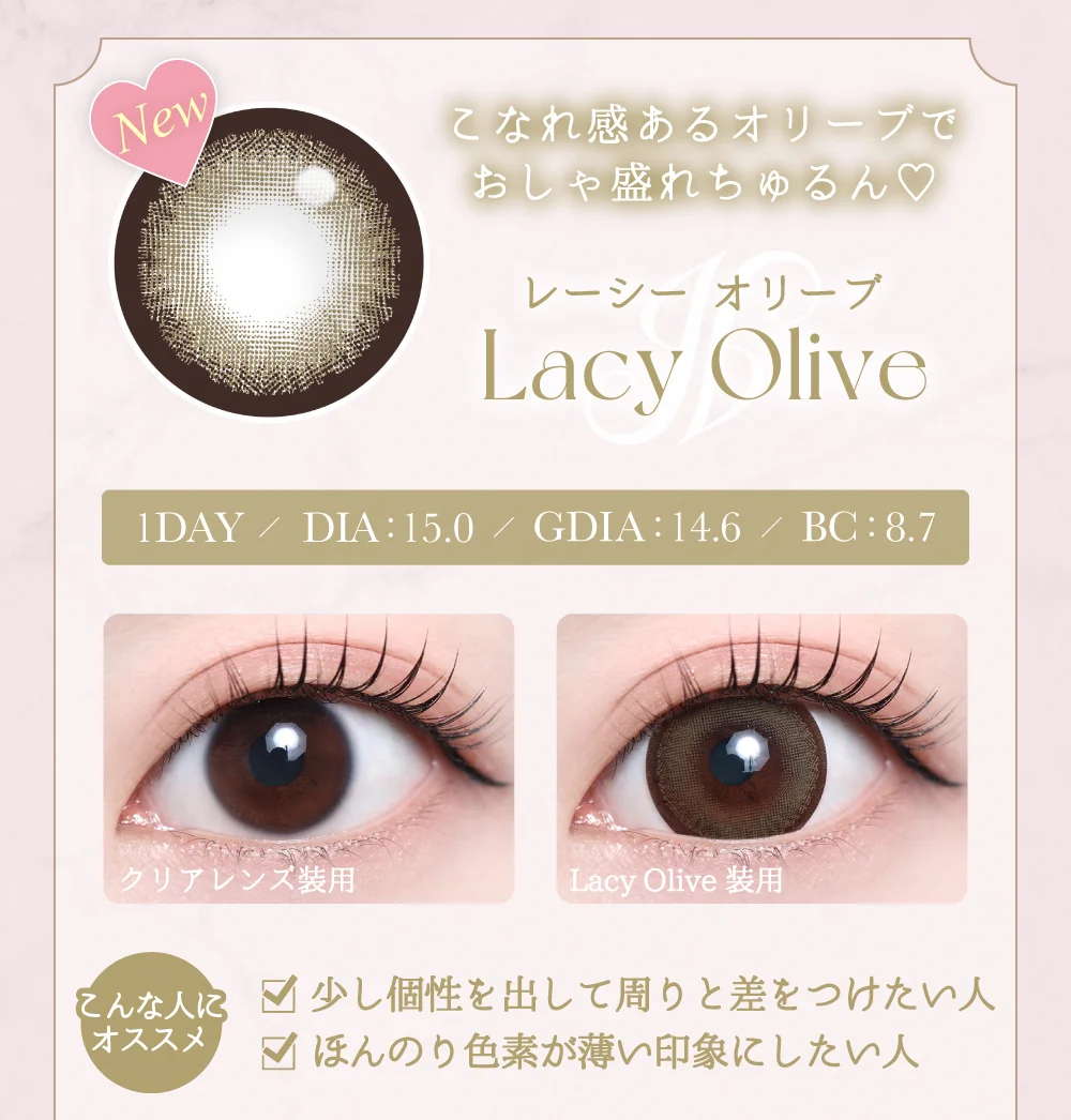 レーシーオリーブ紹介