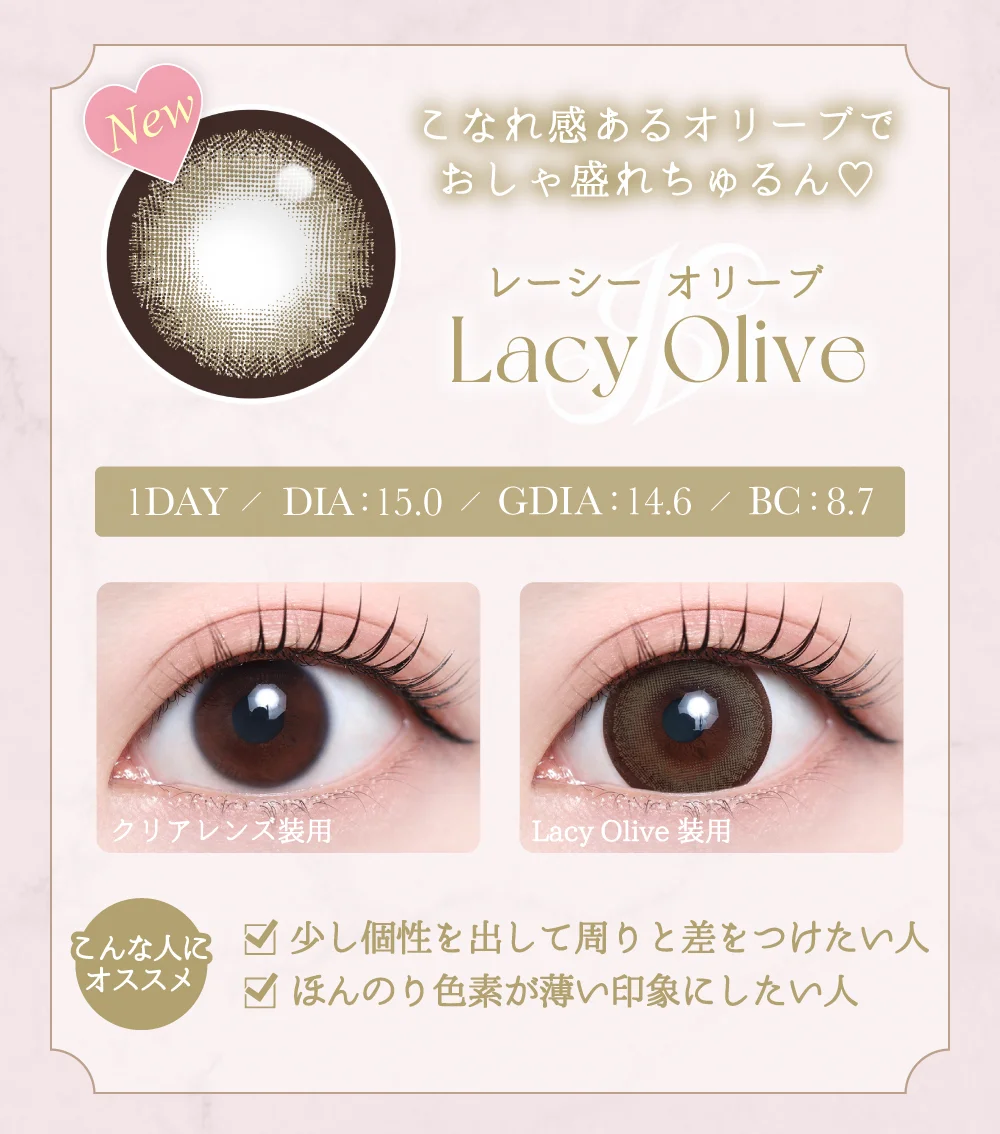 レーシーオリーブ紹介