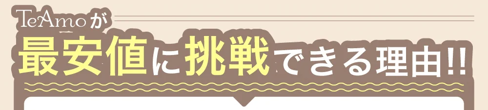 TeAmoが最安値に挑戦できる理由
