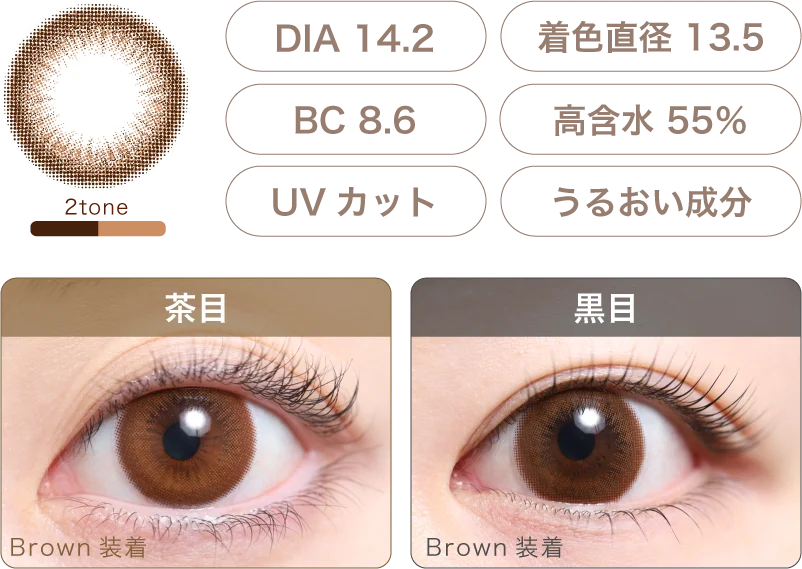 Brown 着画＆スペック