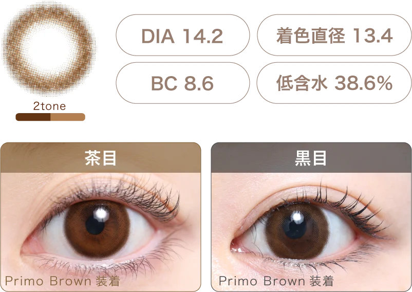 Primo Brown 着画＆スペック