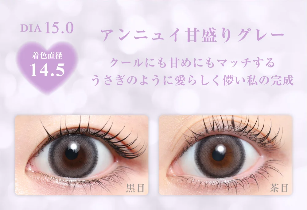 ビーバニー紹介